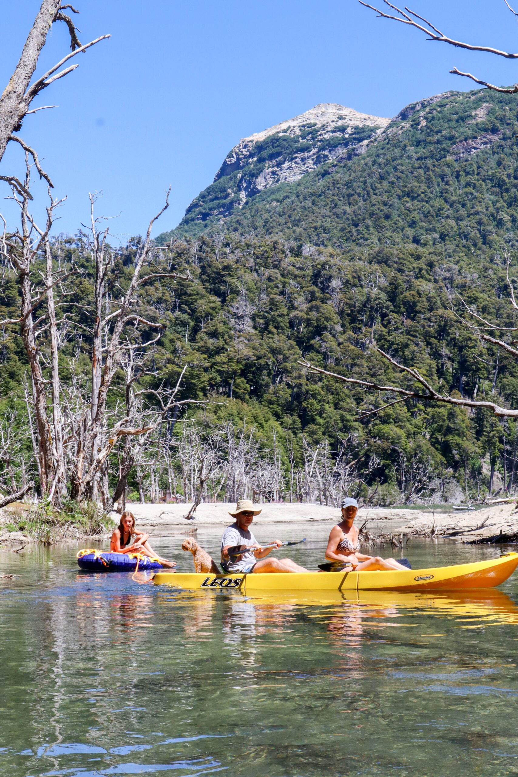 Dog Rafting